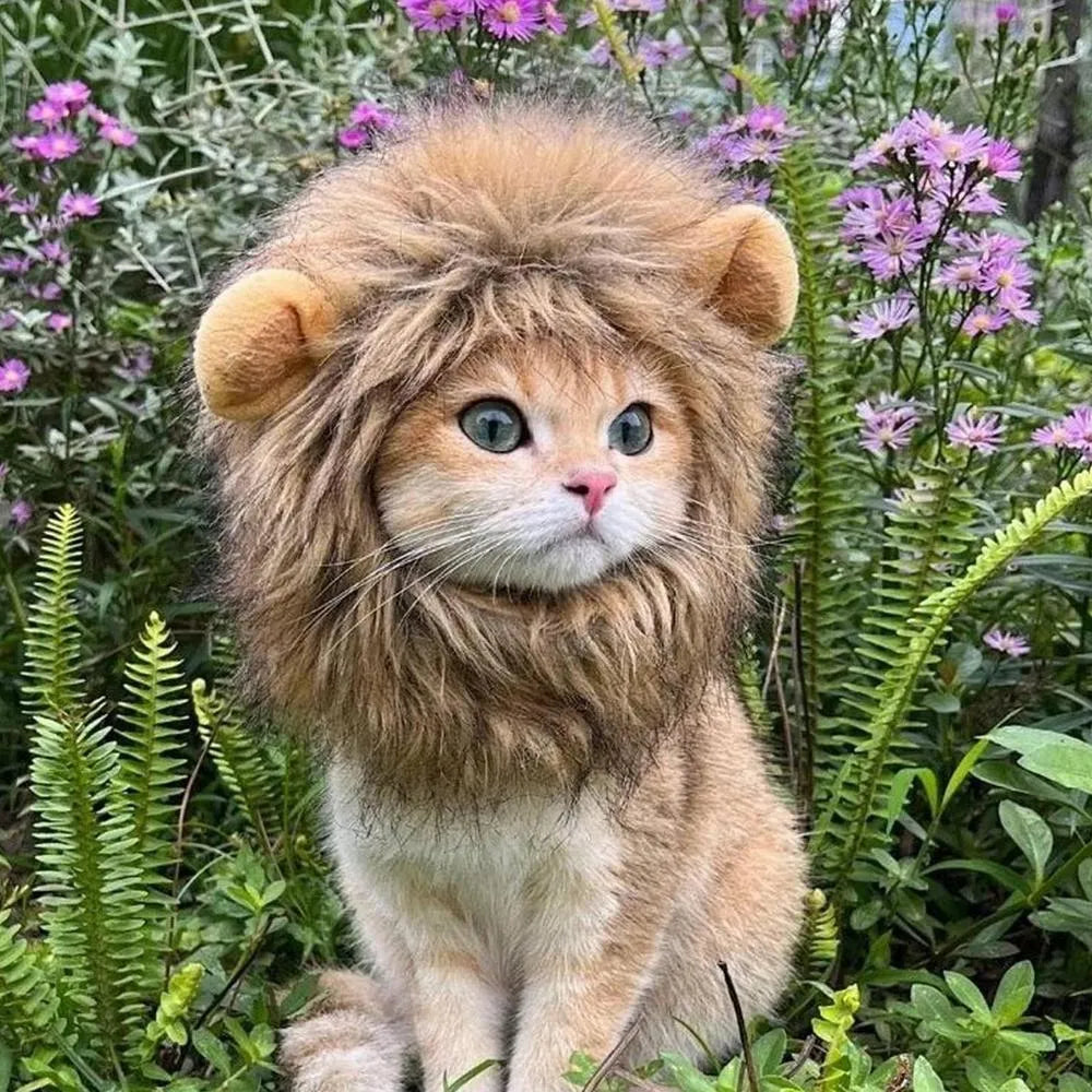 Lion mane wig for cat on pet's head showing fluffy artificial hair and adjustable elastic band.