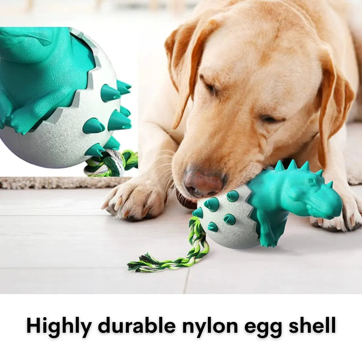 Blue dinosaur-shaped dog chew toy with textured surface and an attached rope for tug-of-war.