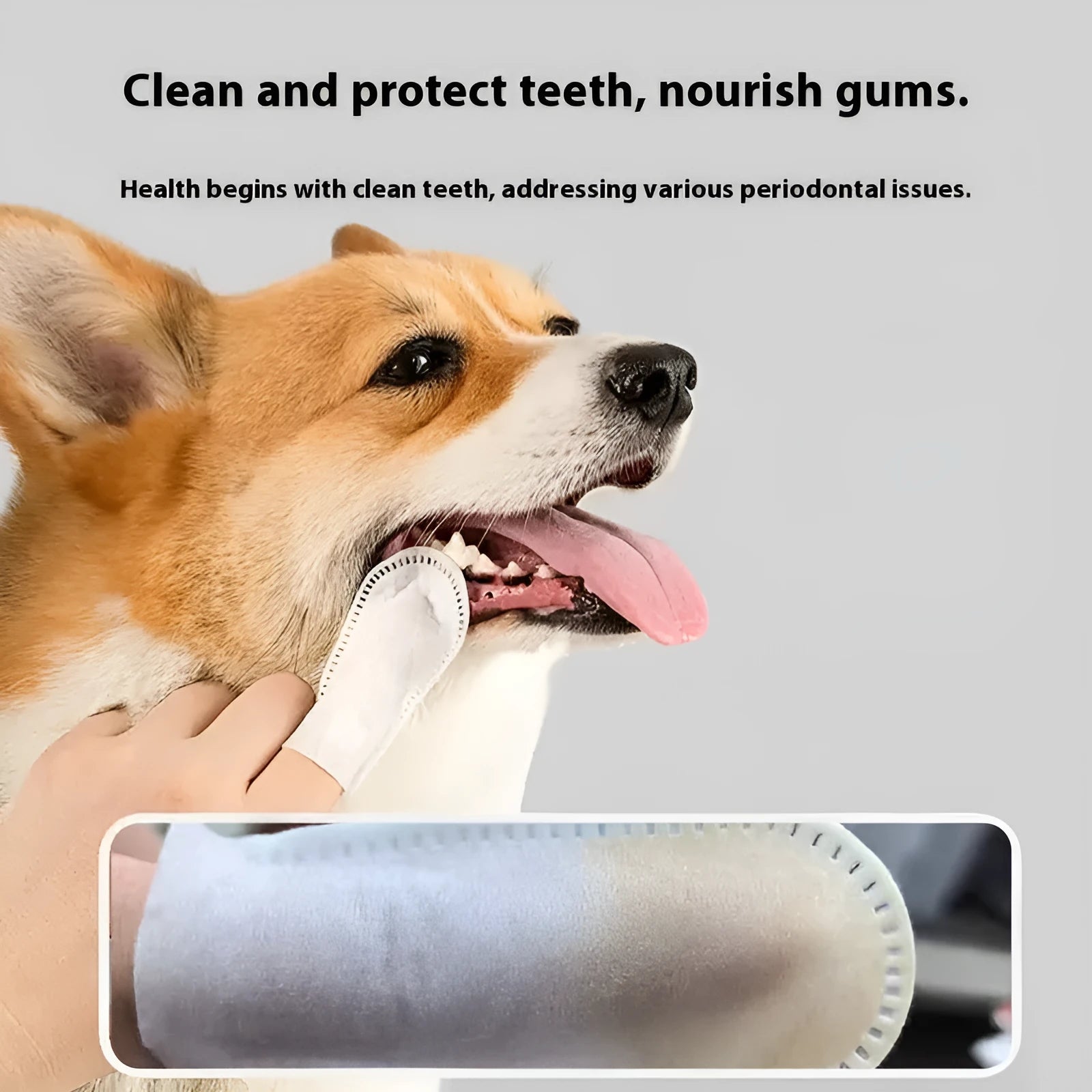 50-piece pack of non-woven pet dental finger stalls for cleaning cat and dog teeth