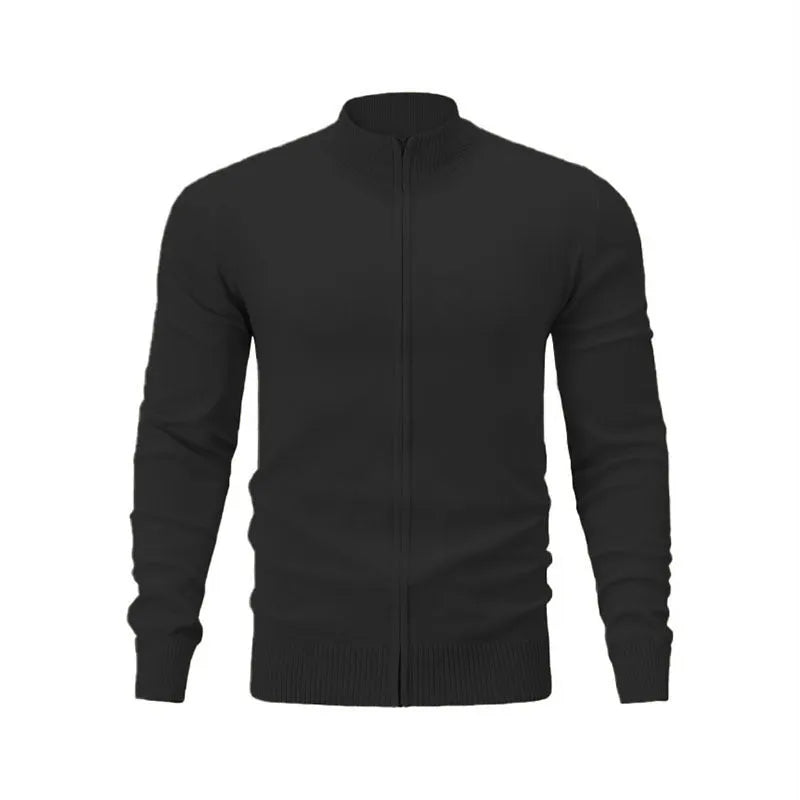 Casual zip-front sports sweater in cotton with a stand collar, shown in a solid colour.
