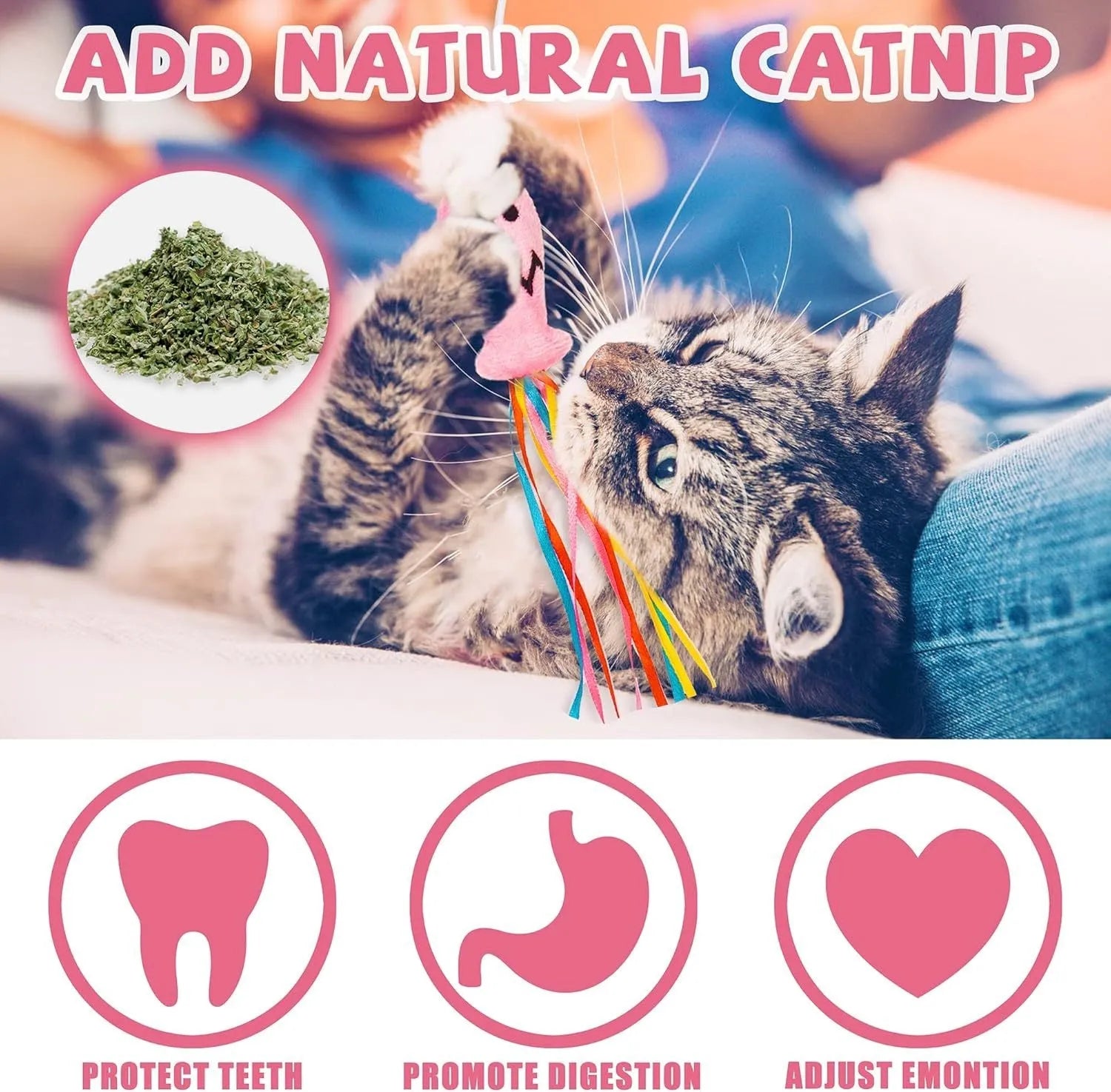 Cat wand toy with wooden handle, colourful ribbons, catnip fish and bell for interactive play with cats