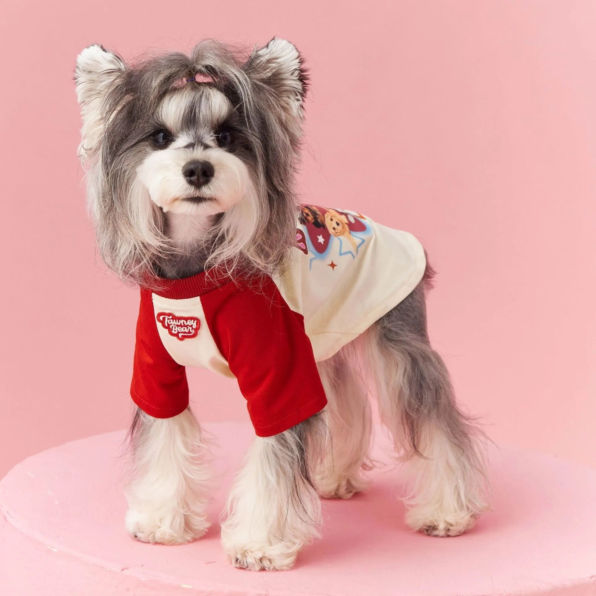 Red embroidered cotton dog summer clothes showing contrast details and short sleeves