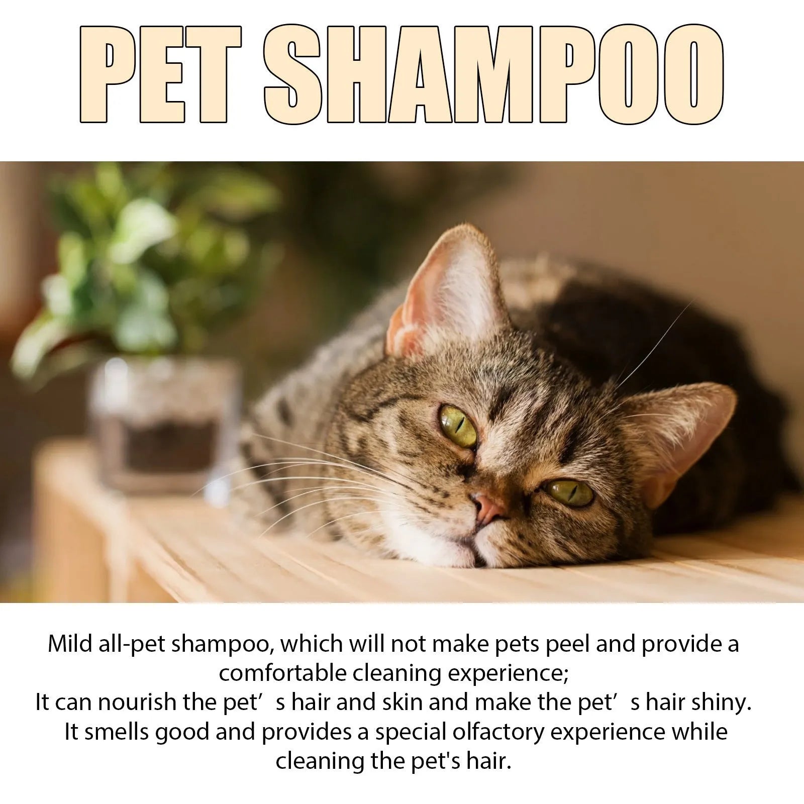 Bottle of mild dog shampoo for softening and detangling hair, shown in 100ml and 300ml sizes.