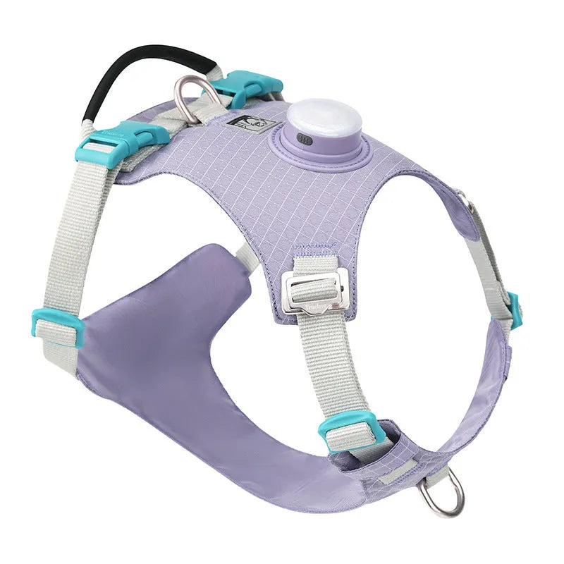 A light purple dog harness with an LED light on the chest, shown on a dog.