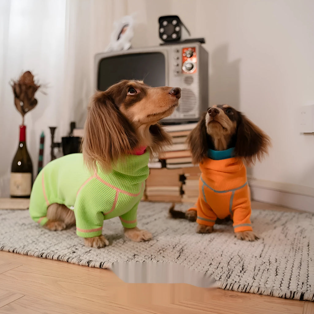 Waffle dachshund pullover in green, four-legged casual dog sweater on white background