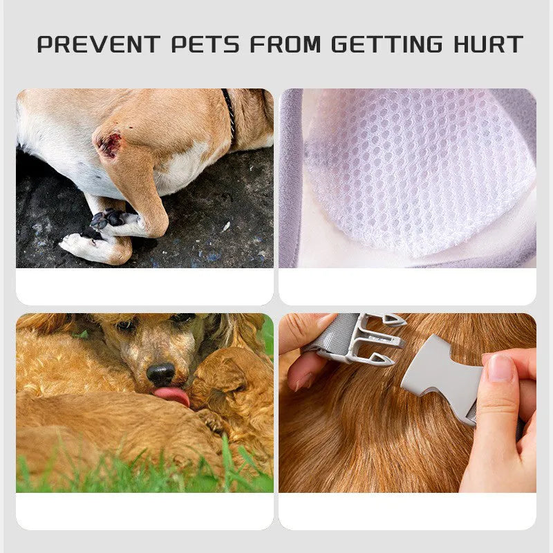 Blue dog knee protector pad with adjustable straps and matching scarf on medium dog