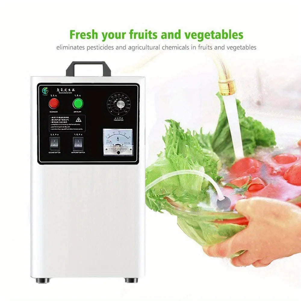 White or stainless steel ozone generator for fruit and vegetable treatment with 20g/h output