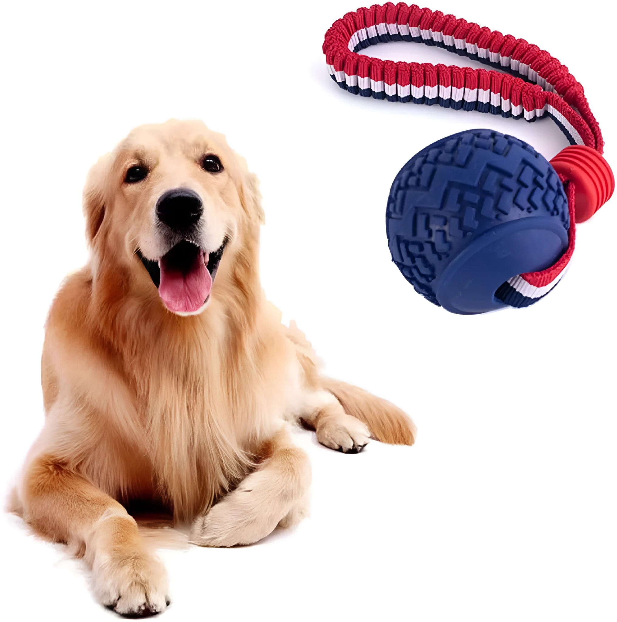 Blue dog ball with attached rope toy for small medium dogs showing textured surface