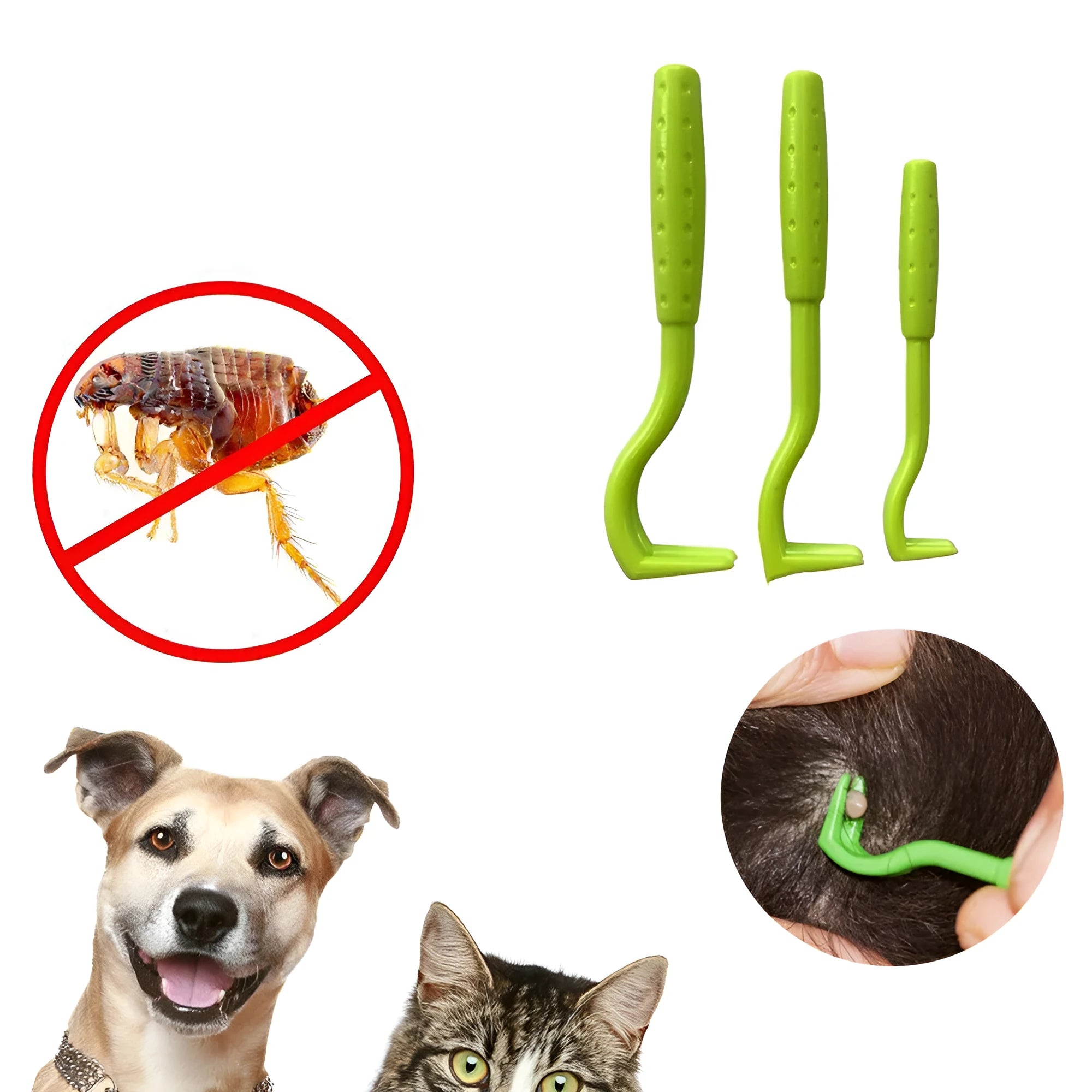 Three plastic tick removal hooks for pets in blue and green colours