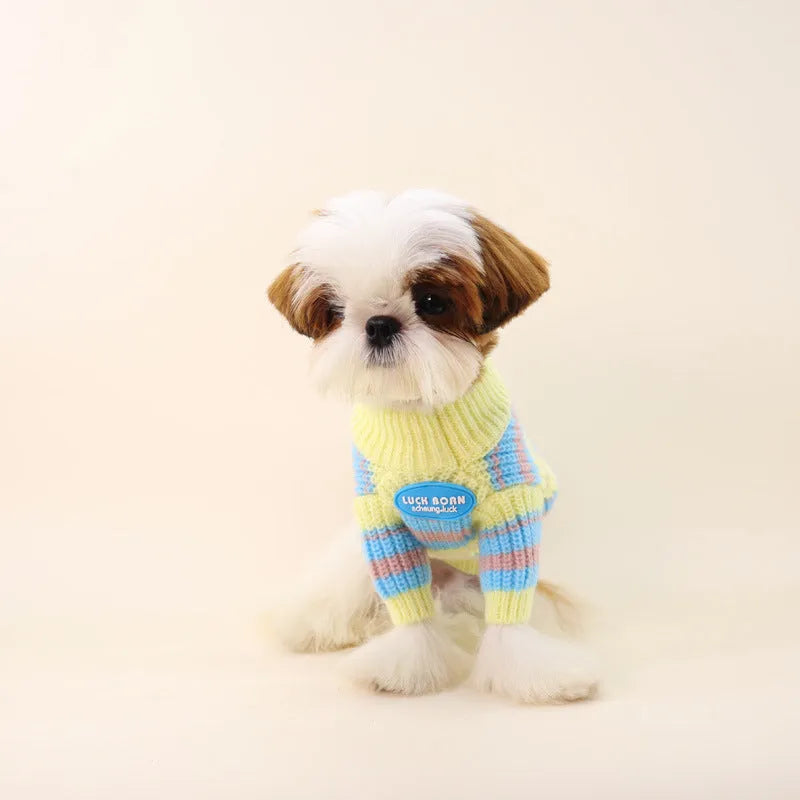 Blue and yellow striped wool dog jumper sweater for small breed pets.