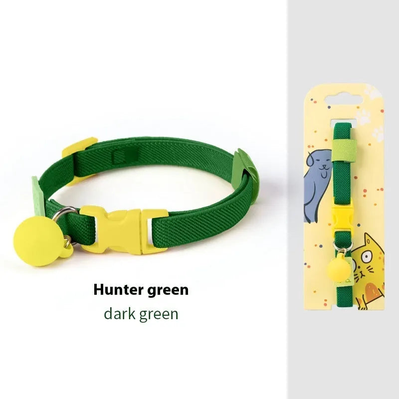 Small dog wearing a solid colour polyester elastic pet collar, adjustable from 22 to 32cm.