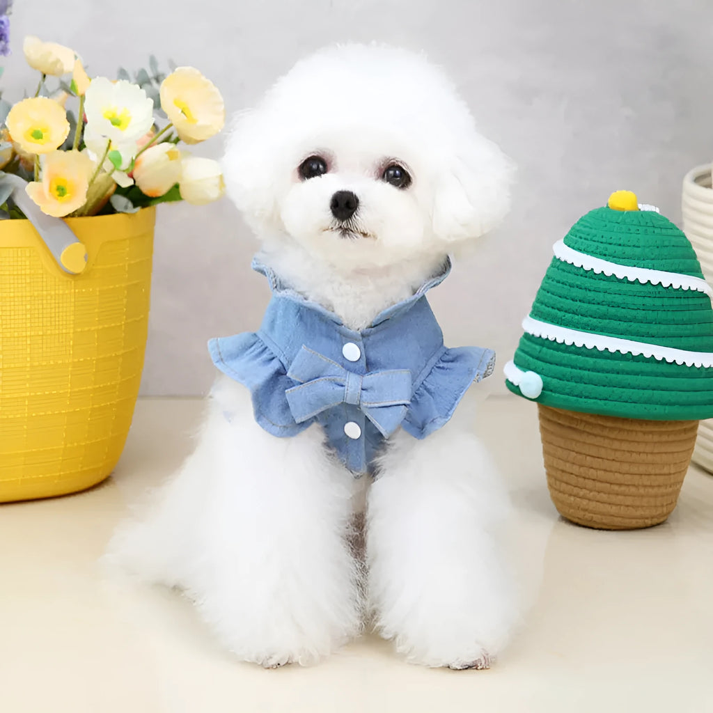 Blue denim dog dress with ruffle trim and back leash hook on a model dog