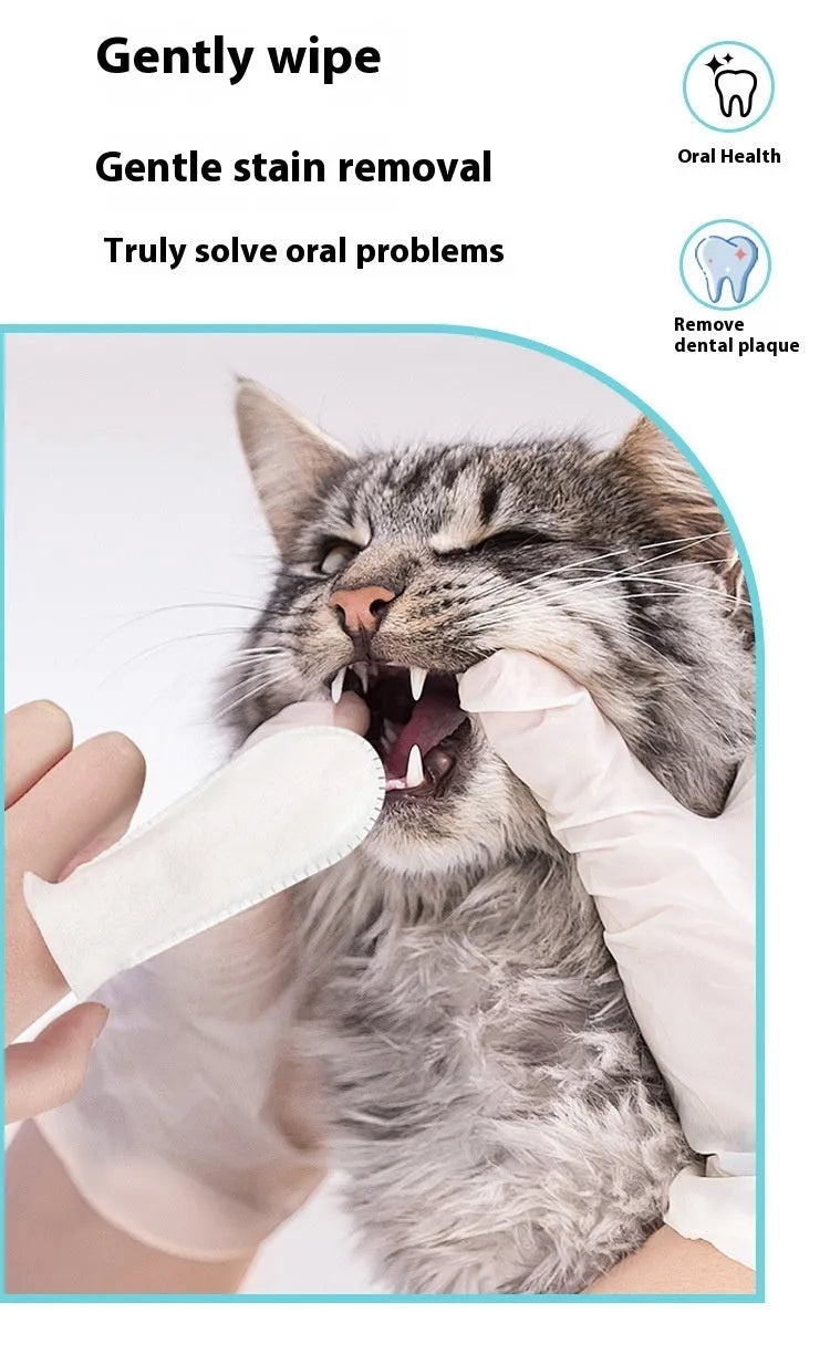 50-piece pack of non-woven pet dental finger stalls for cleaning cat and dog teeth