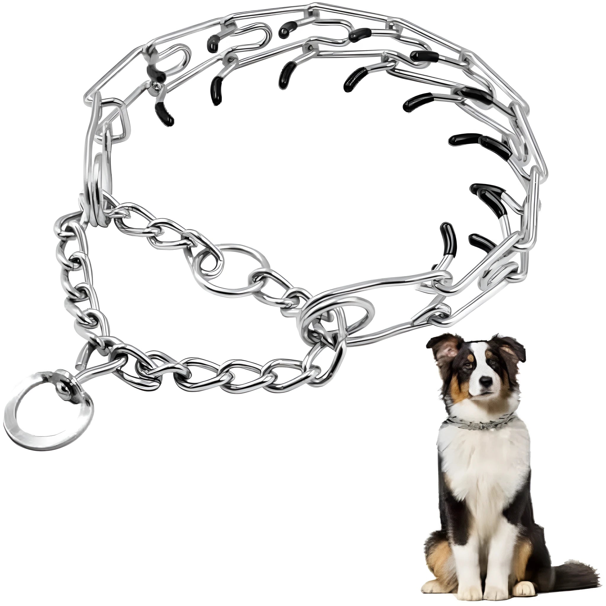 Stainless steel dog prong training collar with rubber tips, shown with adjustable links in four sizes.