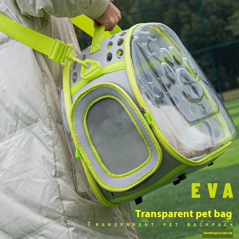 Transparent hard EVA cat backpack in large 42x28x35cm size with foldable design