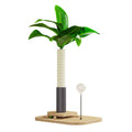 Wooden vertical cat scratching post with chamfered grab column details and simple design