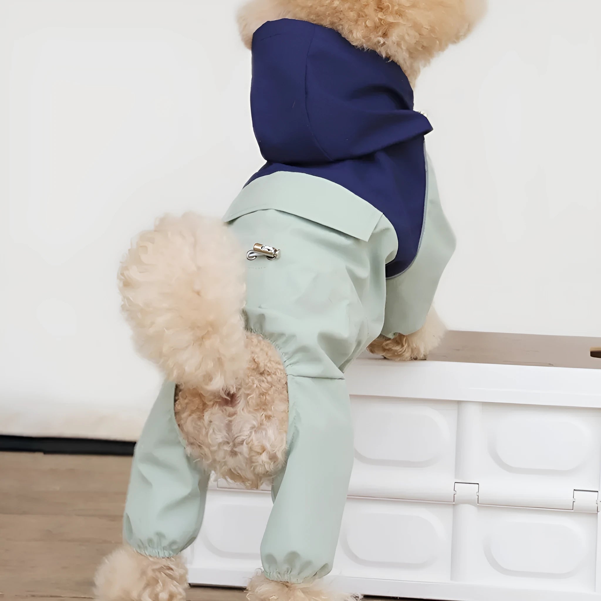British style waterproof and dustproof polyester dog jacket for small to medium breeds.