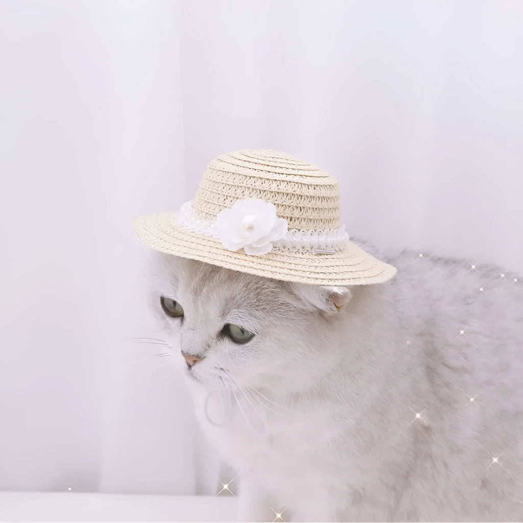 Handmade adjustable bowknot paper hat for dogs and cats in multiple colours