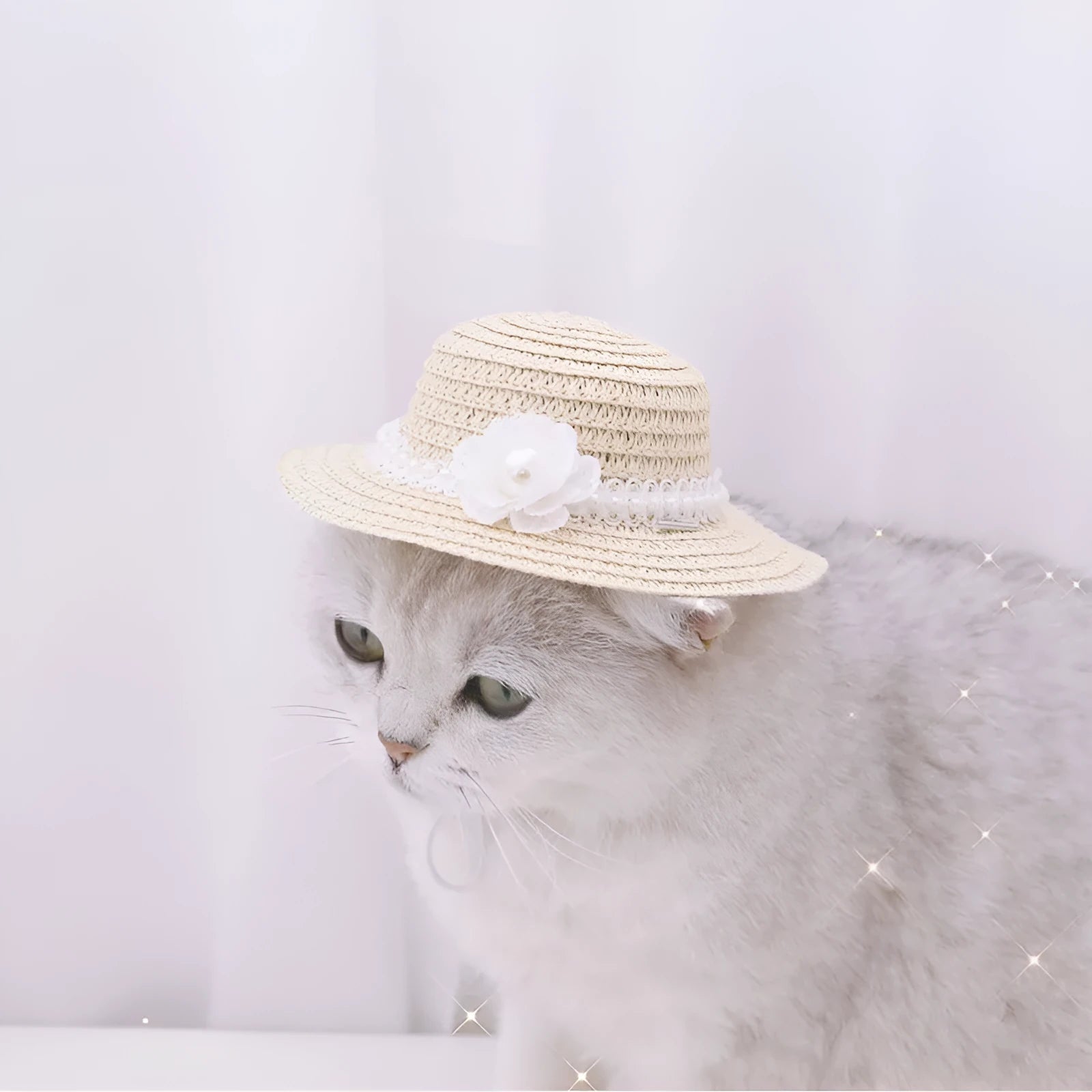 Handmade adjustable bowknot paper hat for dogs and cats in multiple colours