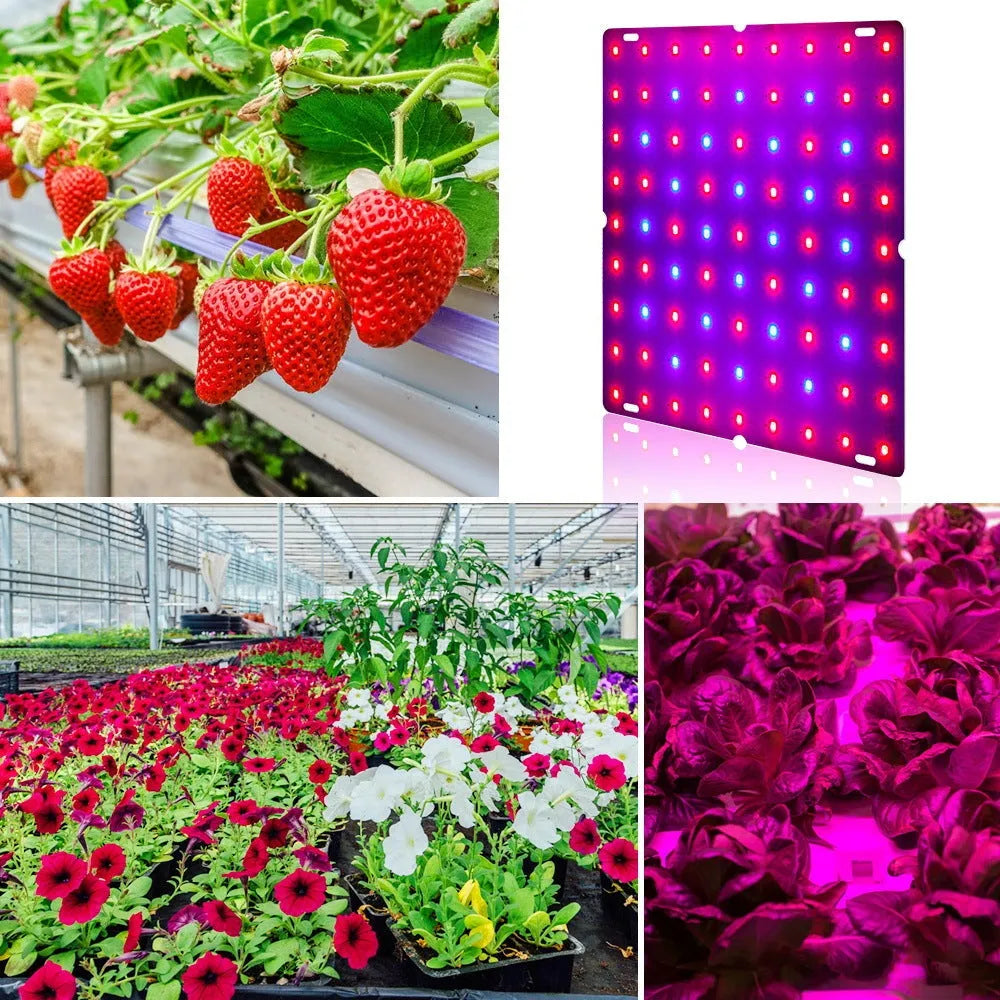 Aluminium LED plant growing light with hook for indoor fruits and vegetables.