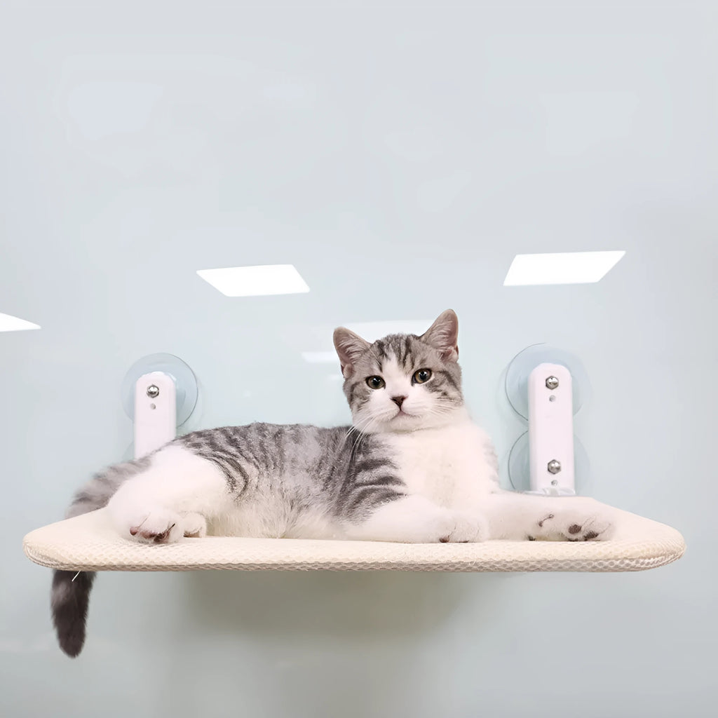Stainless steel frame cat hammock with suction cups mounted on window