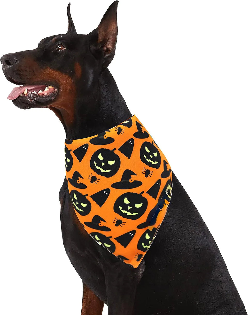 Reversible black and orange Halloween dog bandana with pumpkin and spider web patterns.