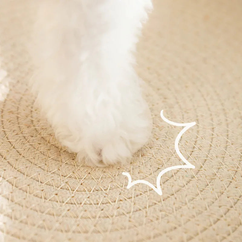 Green oval-shaped cat scratcher pad made of sisal, functioning as both a scratching surface and a lounge bed for cats.