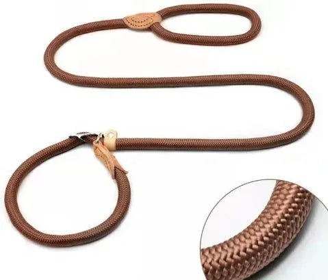 Brown nylon dog leash with P-chain connection showing 2.1 metre length