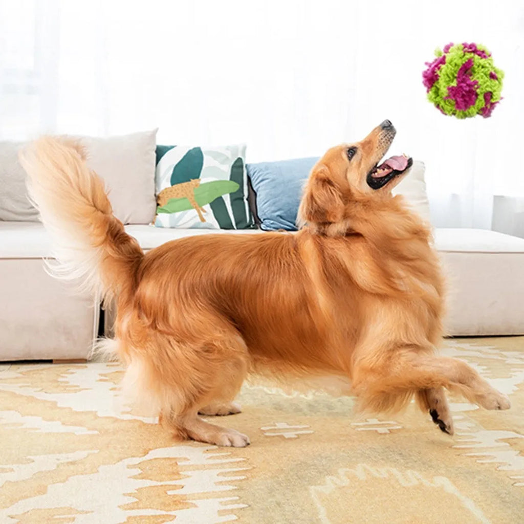 Purple plush seaweed ball dog chew toy for teething and interactive play
