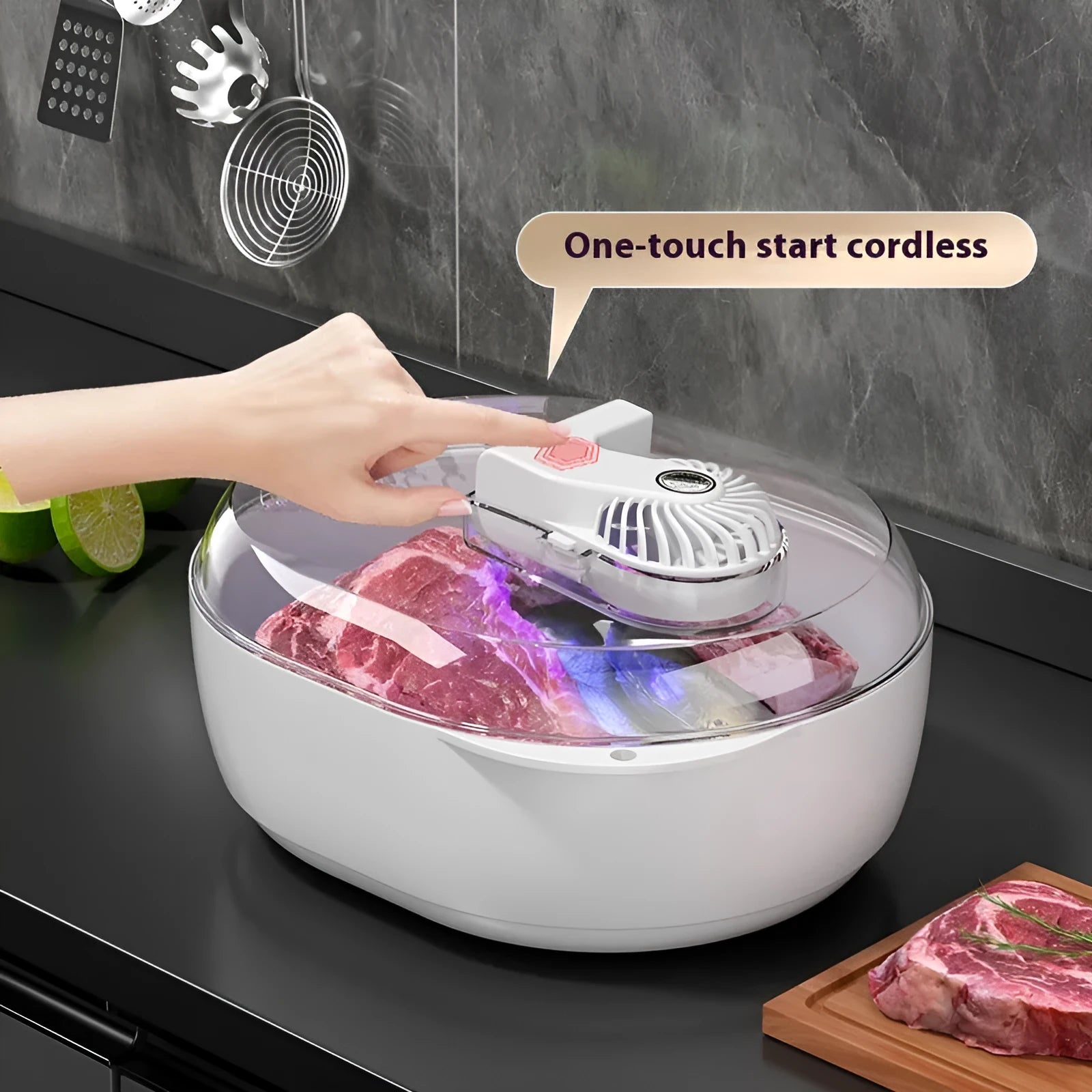 Aluminium household quick defrosting plate device with separate board and USB cable on a kitchen counter.