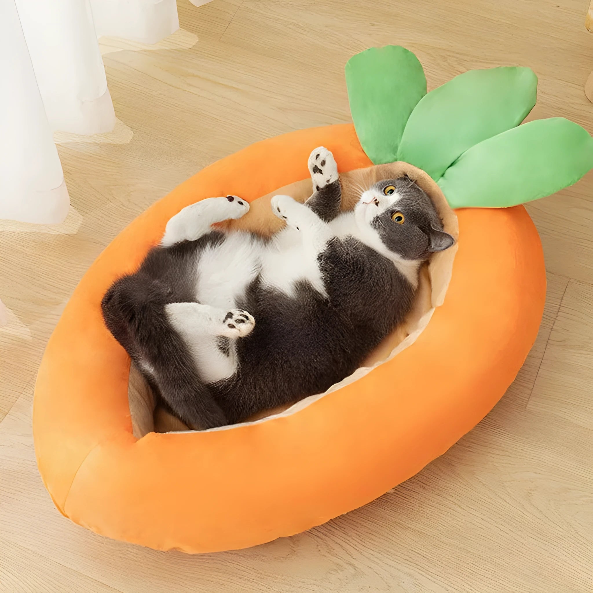 Cartoon carrot print dog mattress with removable cloth covers in medium and large sizes