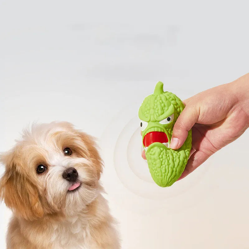 Bitter melon and chilli shaped dog chew toys with pet sound features for bite resistance and tooth cleaning