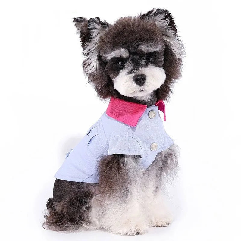 Blue and purple polyester dog vest with traction ring for small dogs
