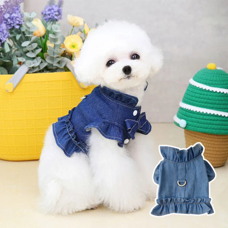 Blue denim dog dress with ruffle trim and back leash hook on a model dog