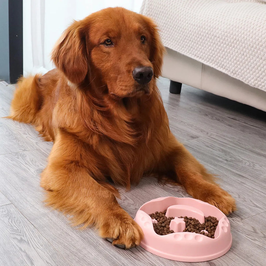 Moon star wings design slow feed dog bowl in blue with raised centre and anti-slip base