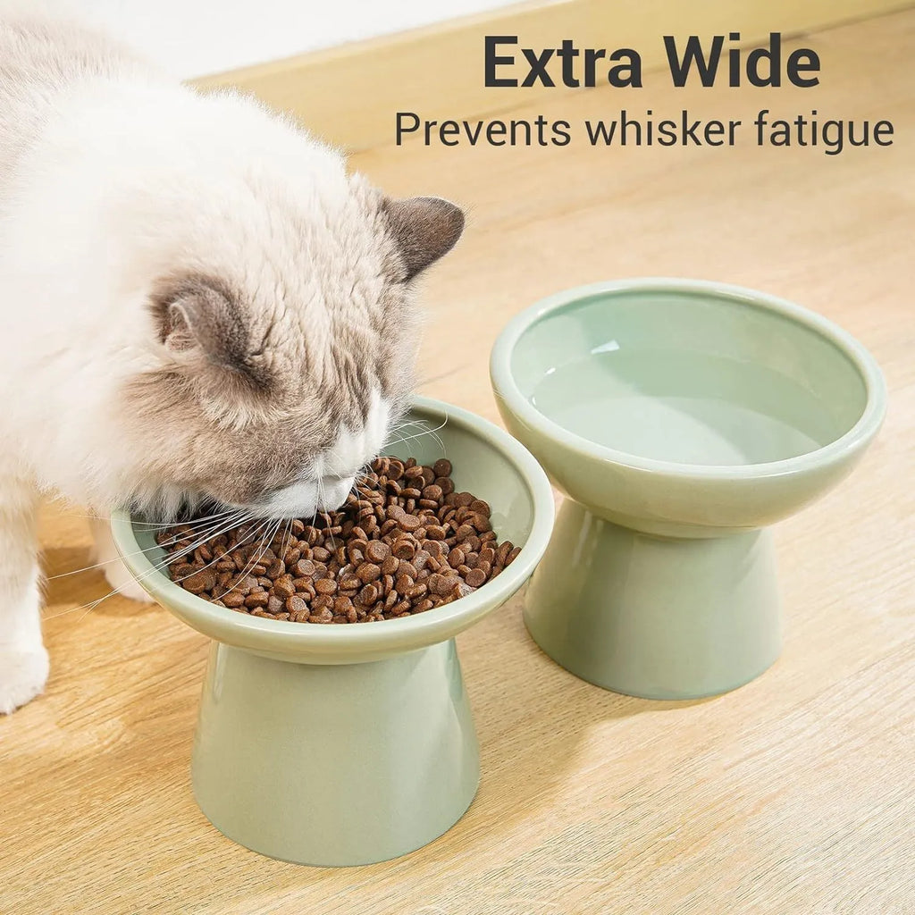 Elevated ceramic cat bowl with wide 16cm diameter and 12cm height in blue colour