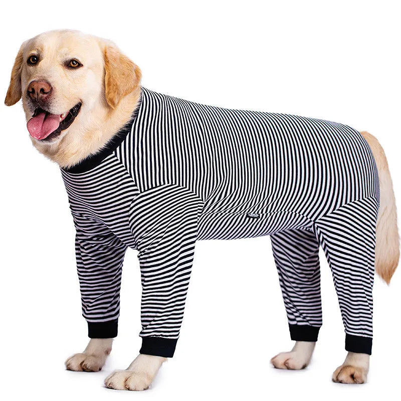 Four-legged striped dog shirt on Golden Retriever showing thin polyester construction and full-body coverage