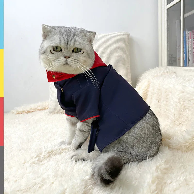 Tiger staff yuren coloured hoodie photo prop for cats and dogs in small and medium sizes