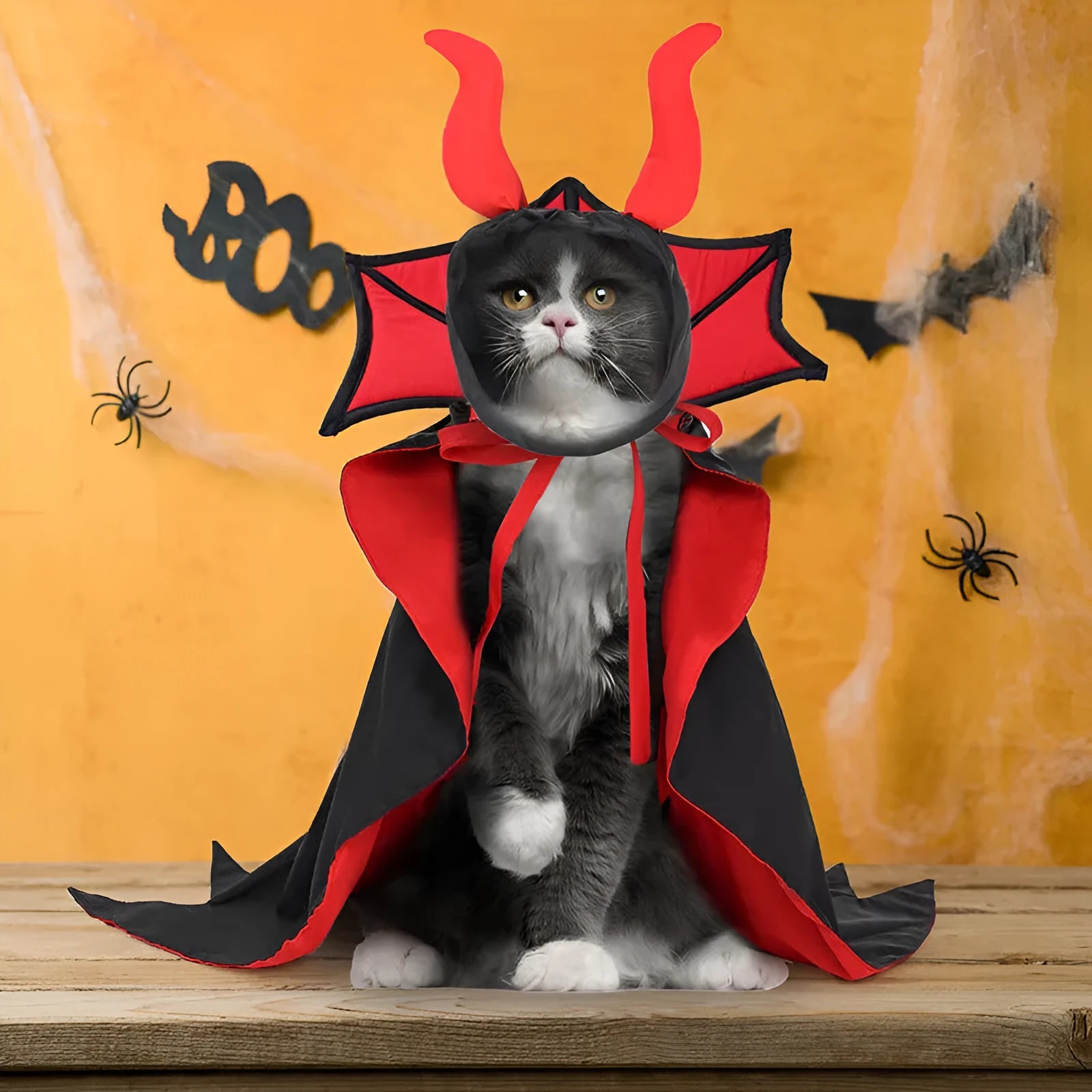 Black polyester vampire cloak and hat Halloween costume for small to medium pets