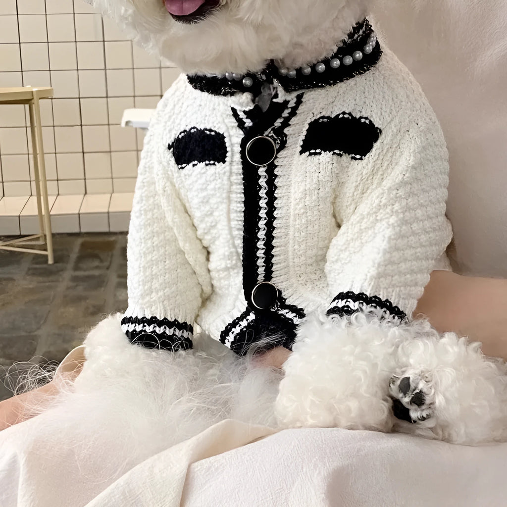 White Korean-style dog sweater with pearl collar detail on a small dog, showing the princess cut and knitted texture.