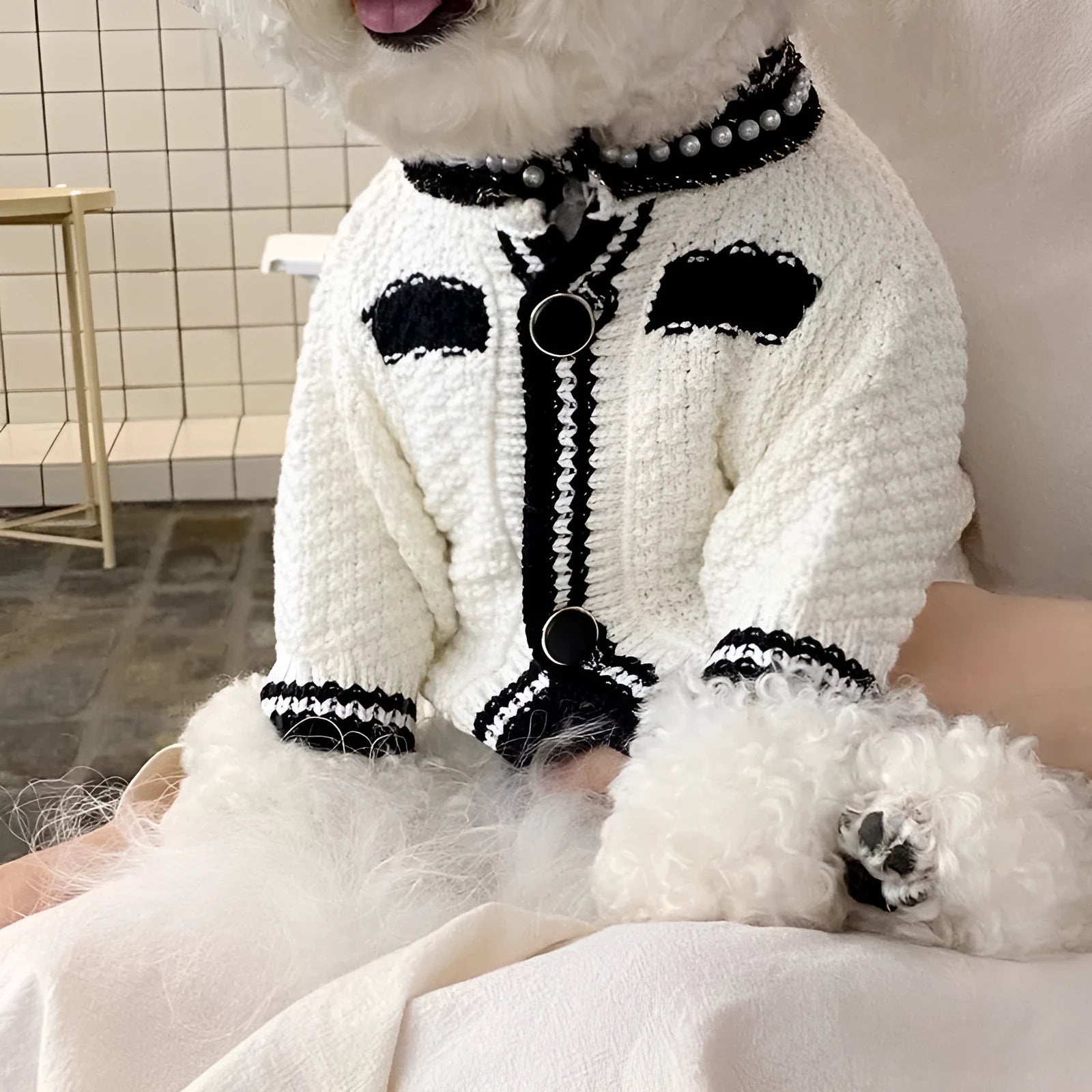 White Korean-style dog sweater with pearl collar detail on a small dog, showing the princess cut and knitted texture.