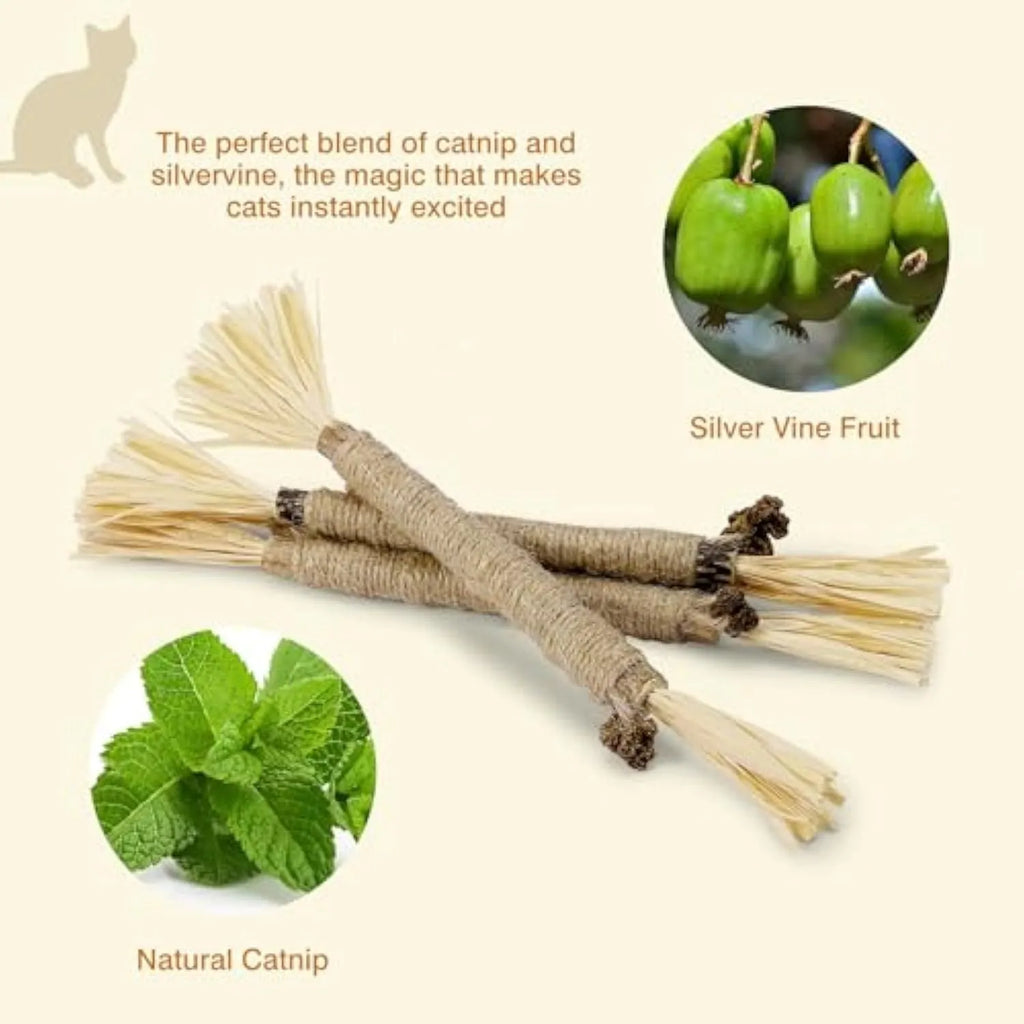 Three natural silvervine sticks for cats dental chew toys showing thick and fine diameter options