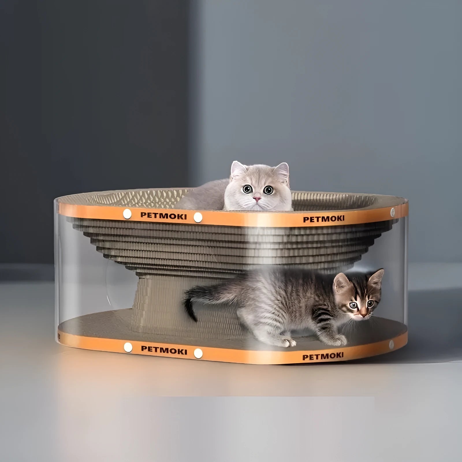 White transparent diamond pattern cat scratch board and nest tunnel measuring 58x45x23cm