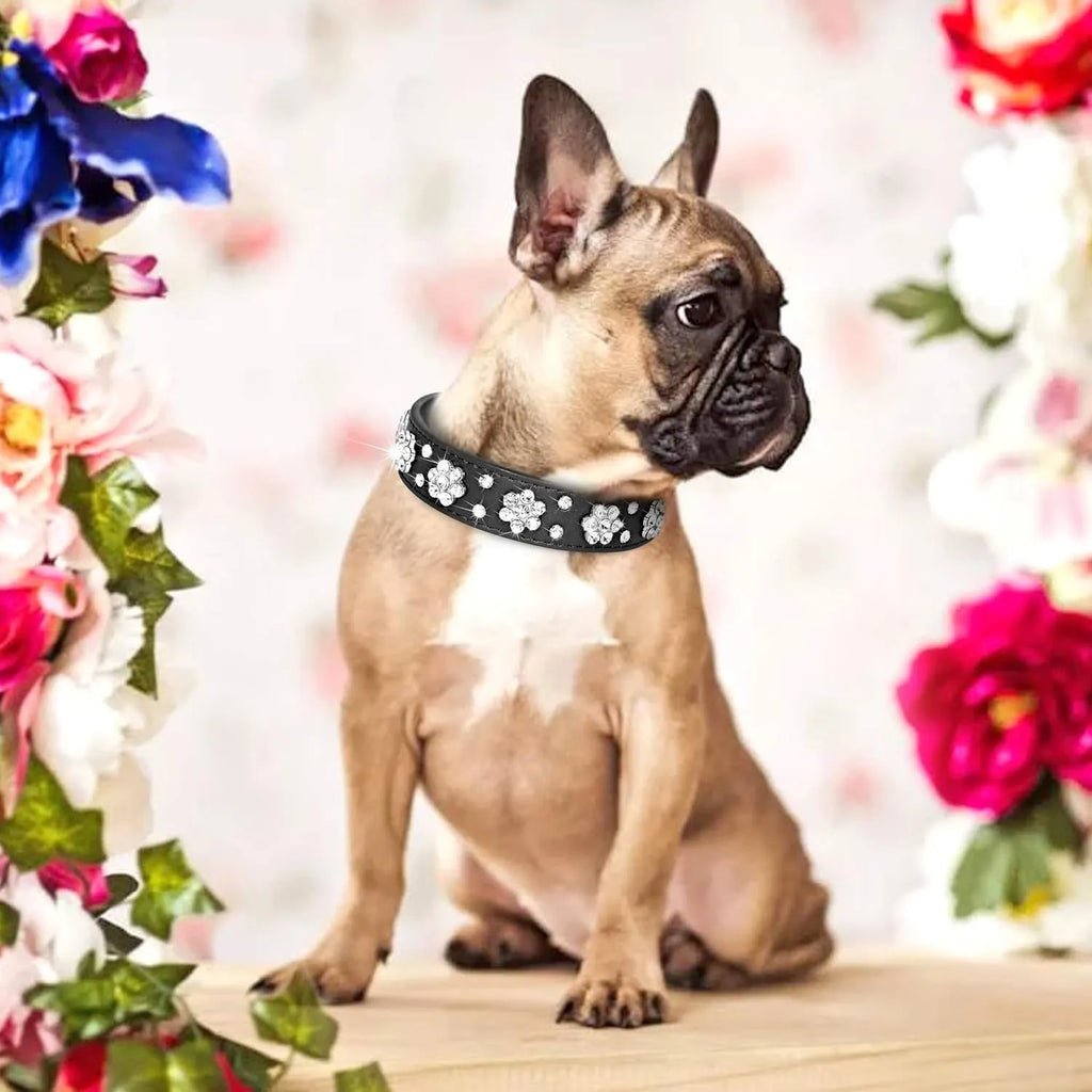 PU leather dog collar with rhinestone flower patterns and metal studs in adjustable sizes