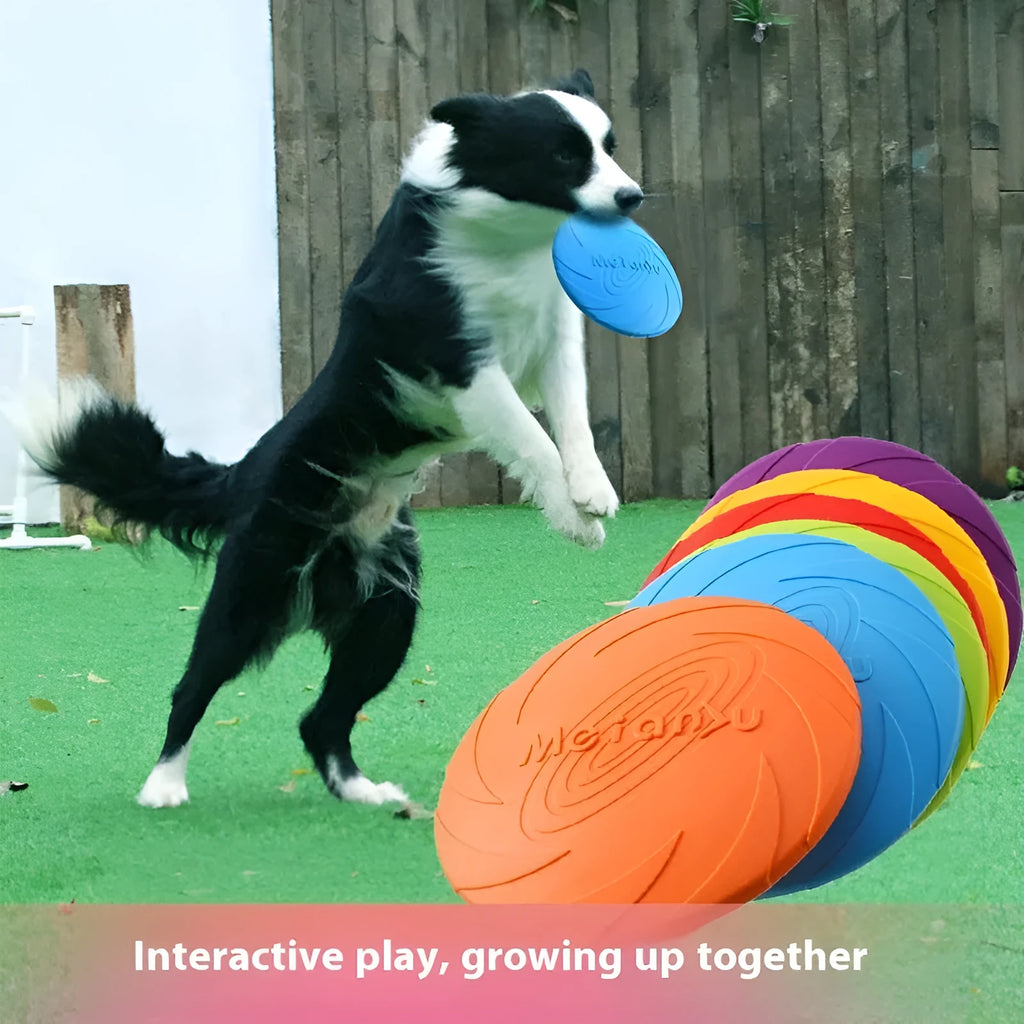 Soft rubber dog frisbee outdoor travel toy in blue, shown on grass.
