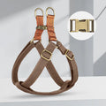 Brown vest-style dog harness and leash with alloy clips on a small dog
